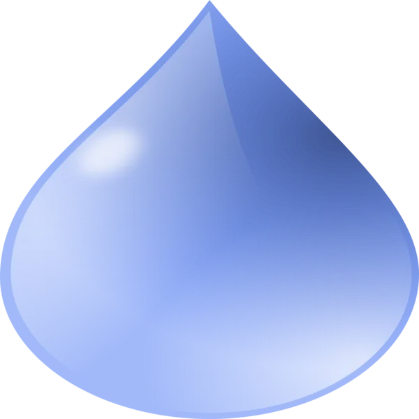 Wingnuts Leak Detection & Plumbing Services